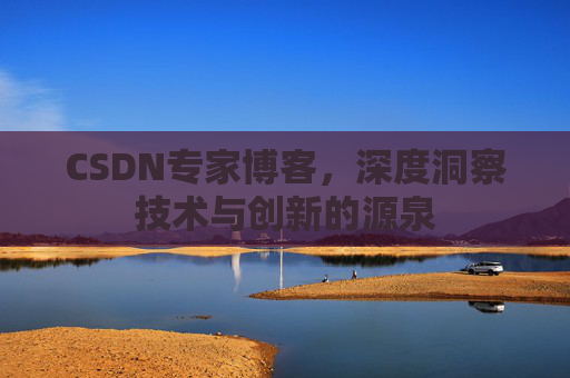 CSDN专家博客，深度洞察技术与创新的源泉